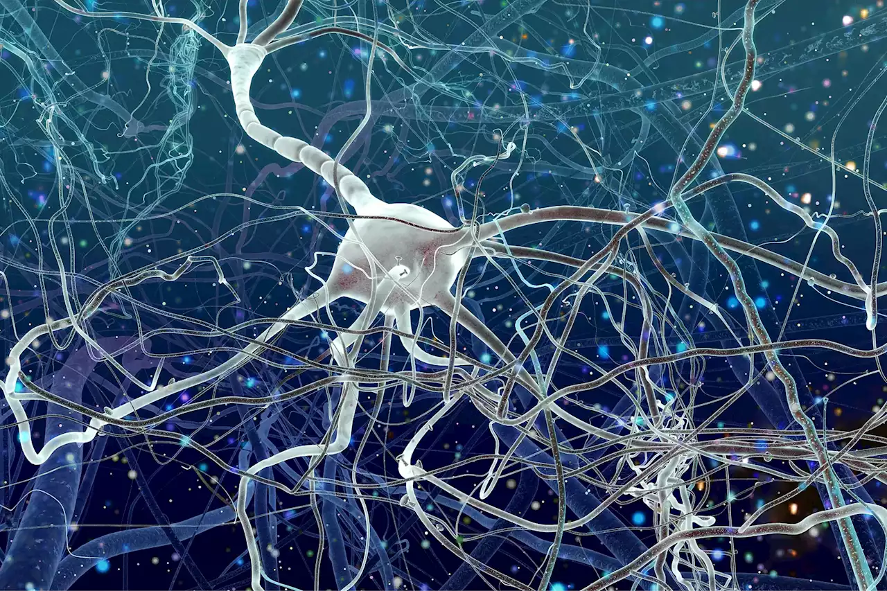 Activating Adult-Born Neurons: A Promising Approach for Alzheimer’s Treatment