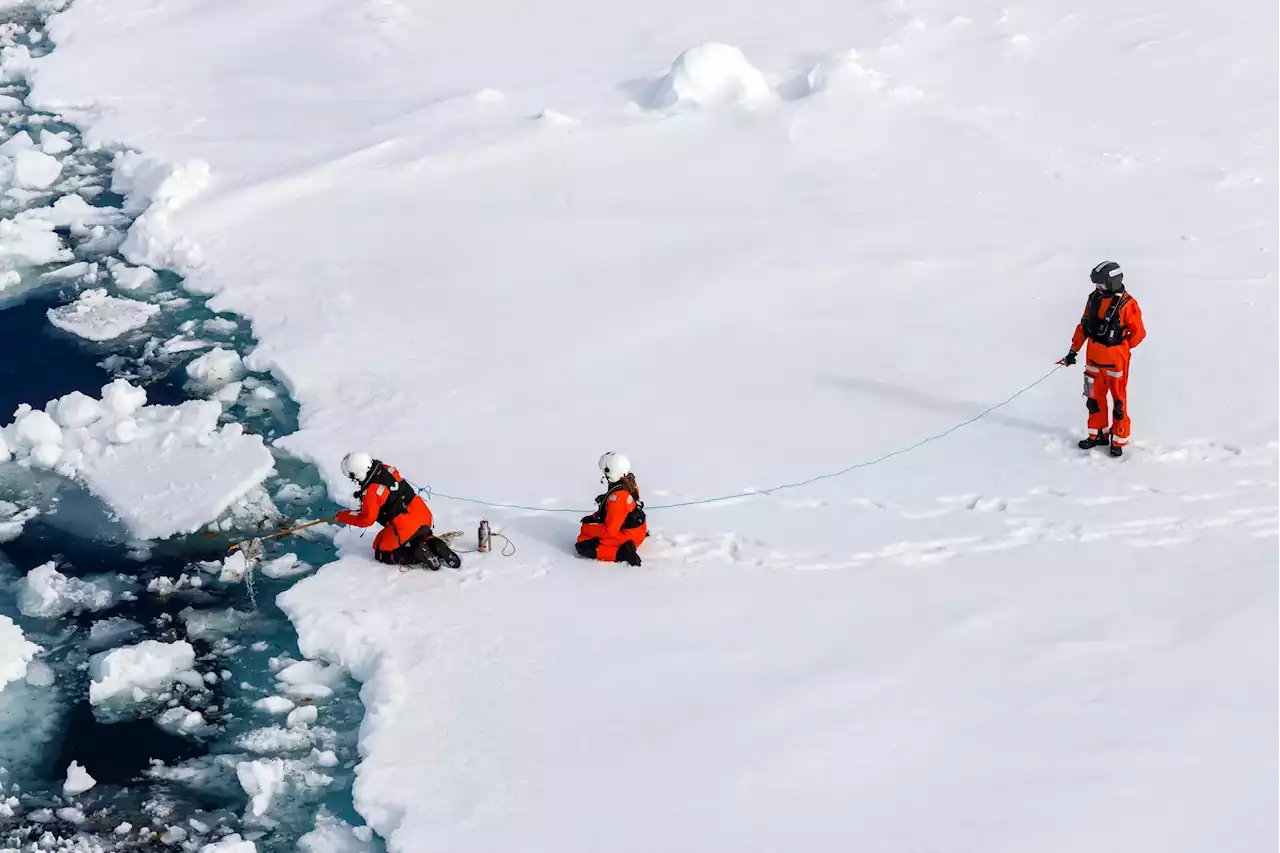 Contamination Crisis: Arctic Ice Algae Heavily Contaminated With Microplastics