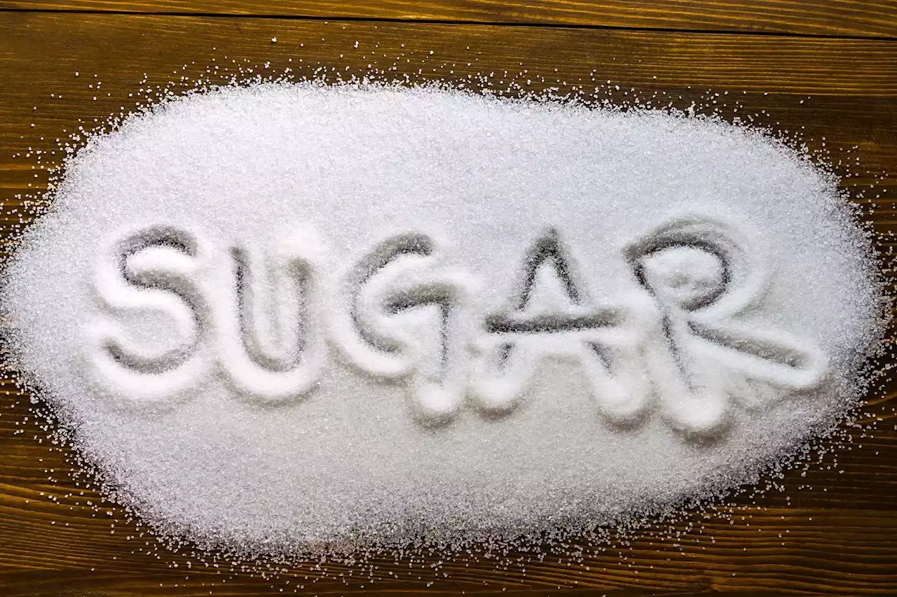 The Sweet Divide: Sugar Is Processed Differently in the Brains of Obesity-Prone