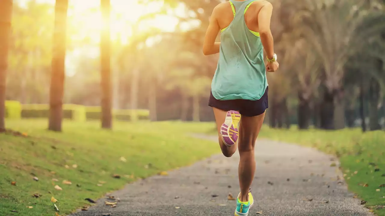 Wearing correct sports bra can improve running performance by up to 7%, research suggests