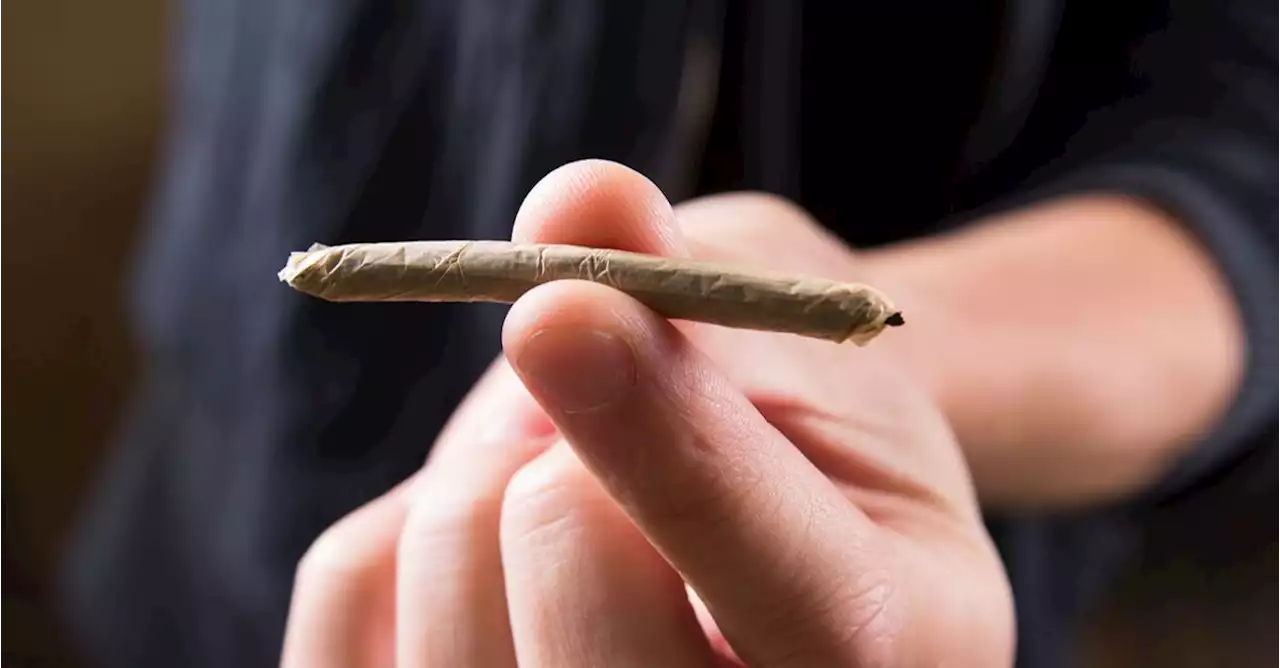 Is It Possible to Get High from Secondhand Marijuana Smoke?