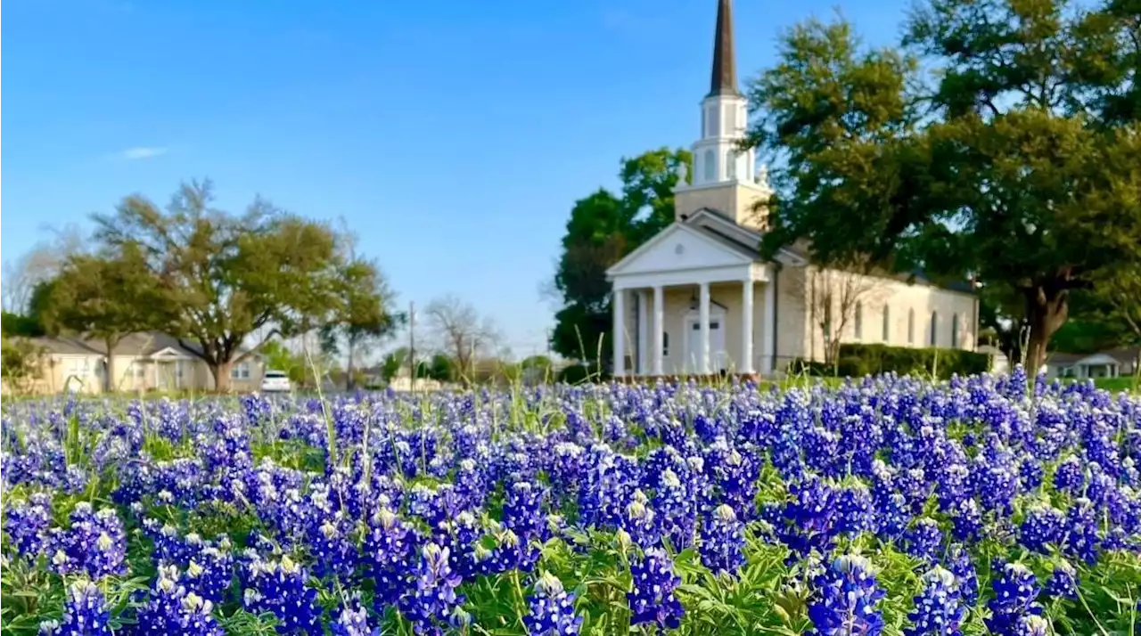 2023 report ranks Round Rock as No. 1 place to live, Arlington No. 6