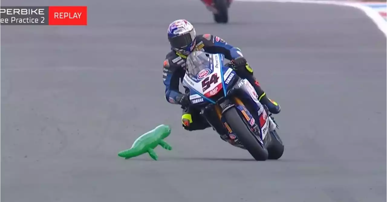 Superbike, paura ad Assen: un 'coccodrillo' attraversa la pista a Razgatlioglu VIDEO