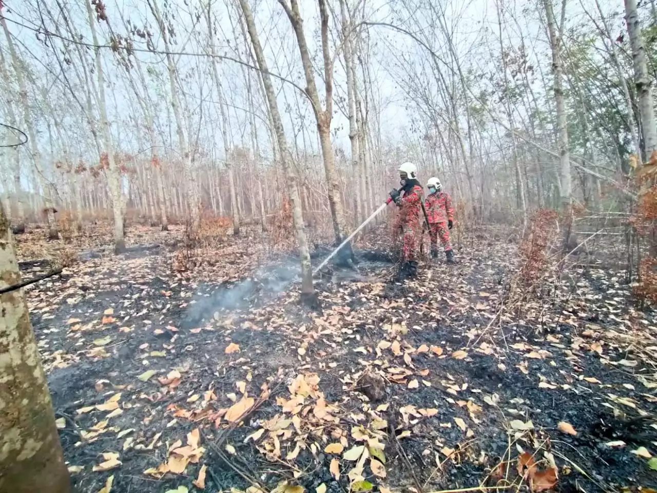 ‘Nearly 100 bush fires in a day’