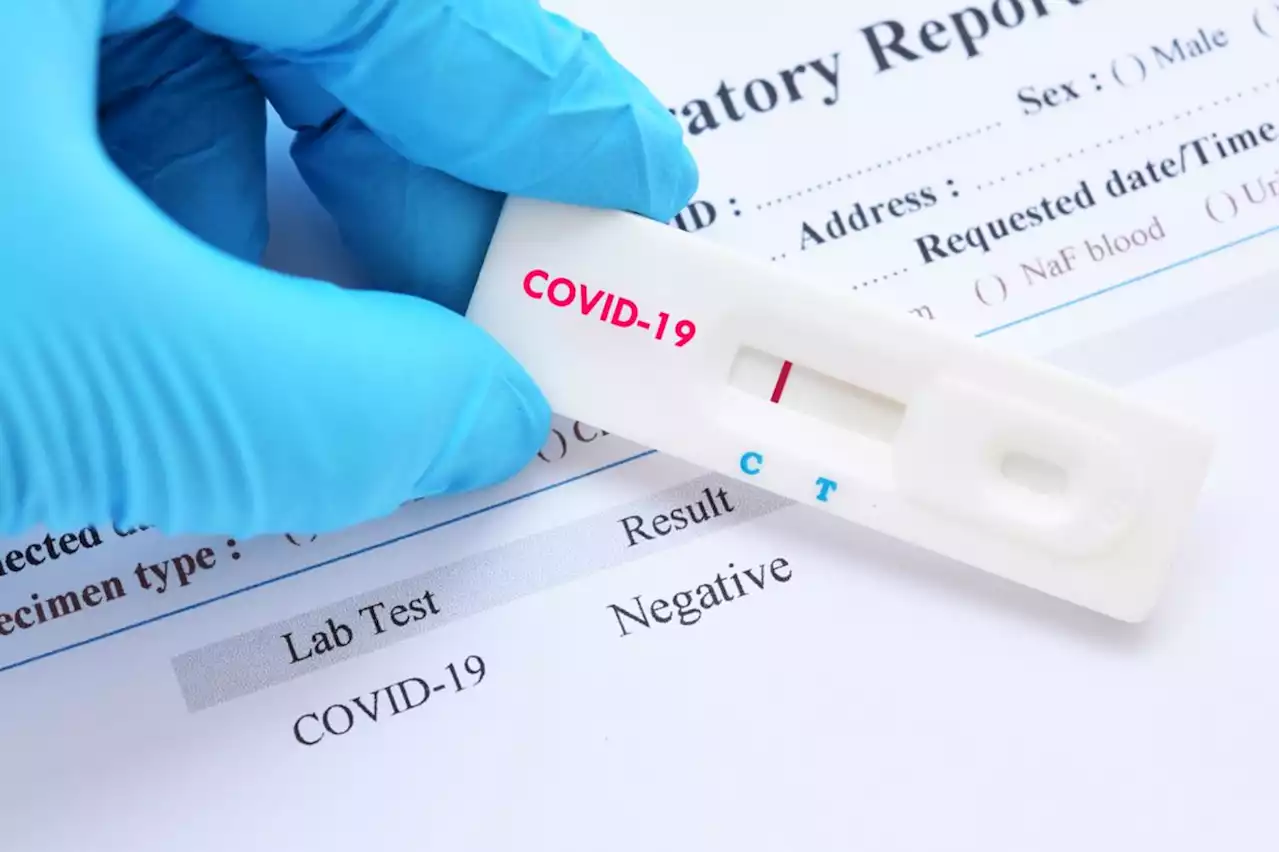 Self-test for Covid-10 before Raya travels, WHO advises Malaysians