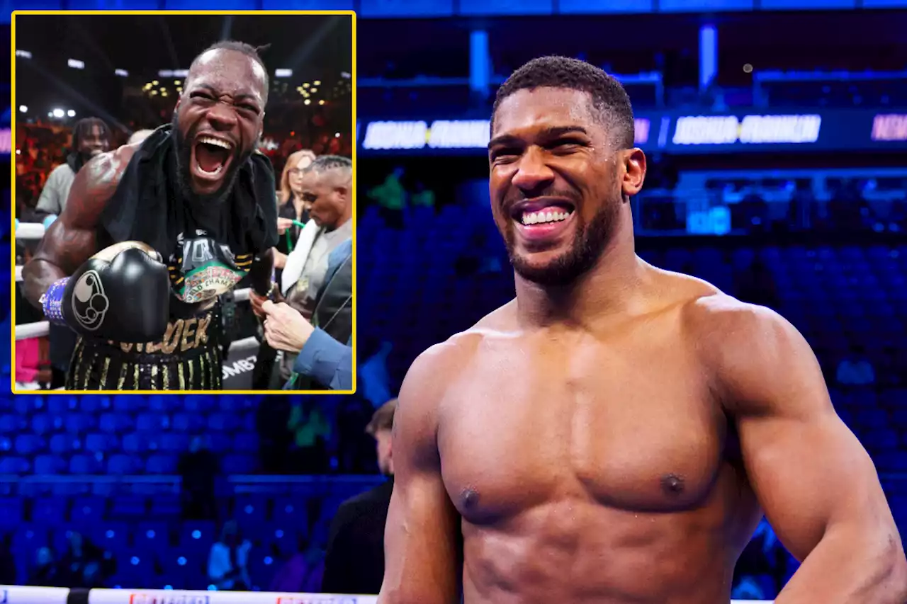 'It's 95 per cent there' - Anthony Joshua breaks silence on Deontay Wilder talks