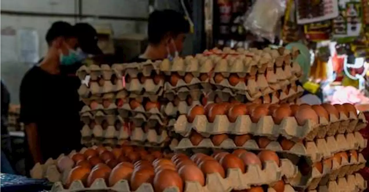 Salahuddin: Egg supply enough in East Coast for Aidilfitri