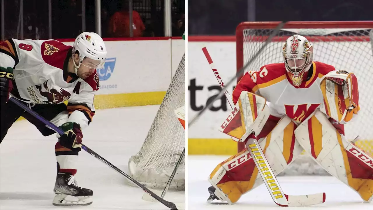 Roadrunners' AHL scoring champ Michael Carcone loses MVP race to Calgary goalie Dustin Wolf