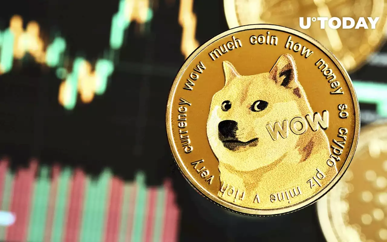 Is Dogecoin Untouchable? Board Member Weighs In on Regulatory Debate