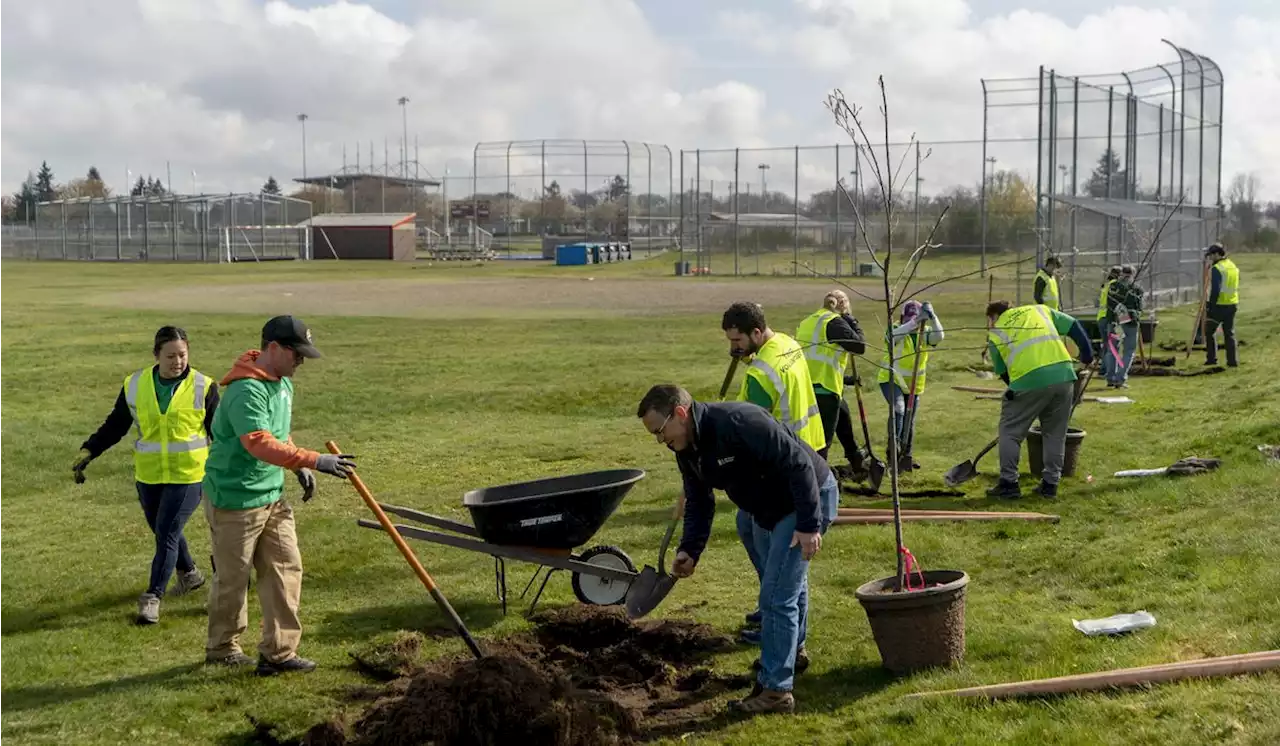 Historic investment in urban trees underway across the U.S.