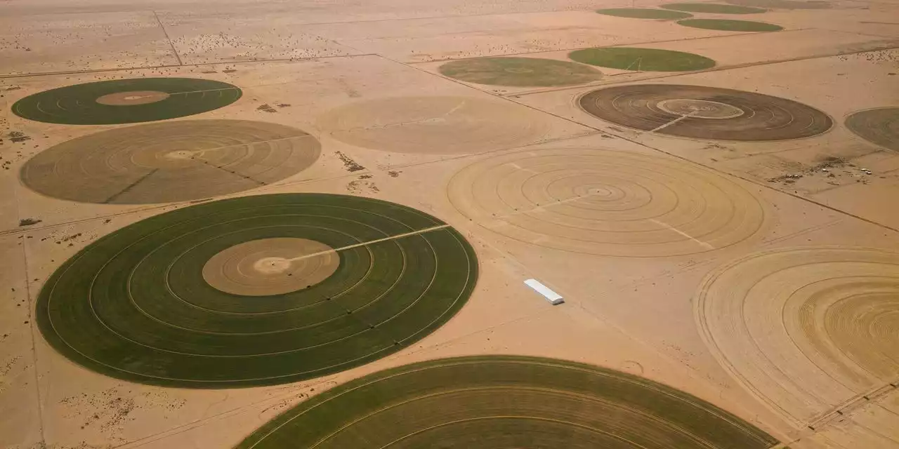 Stakes in Sudan’s War Include Russian Gold, Nile Dam, Key Shipping Lane