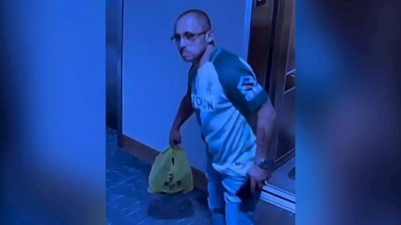 Food delivery driver captured on video stealing French bulldog puppy from DTLA apartment, owners say