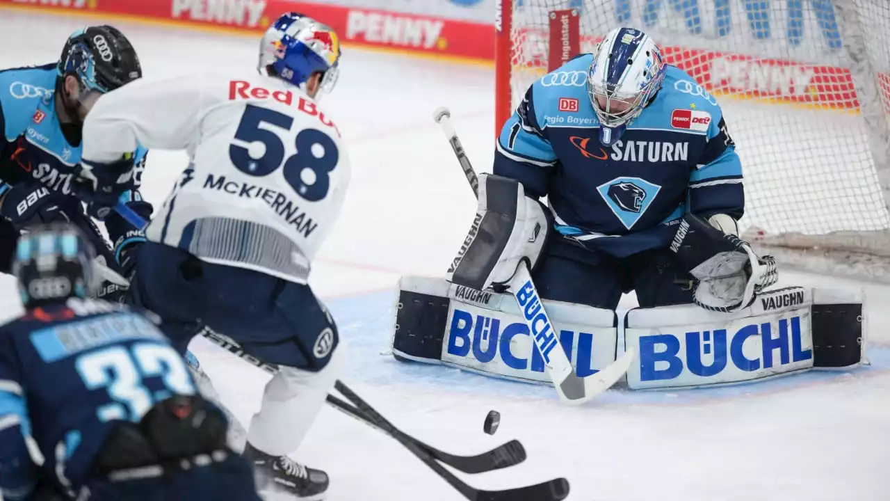 Eishockey: Eisbären Berlin verpflichten Final-Torwart