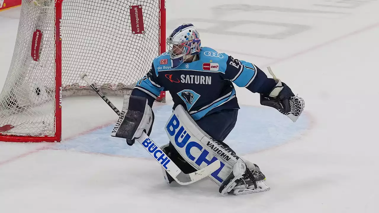 Transfer-Hammer! Eisbären verpflichten Final-Torwart