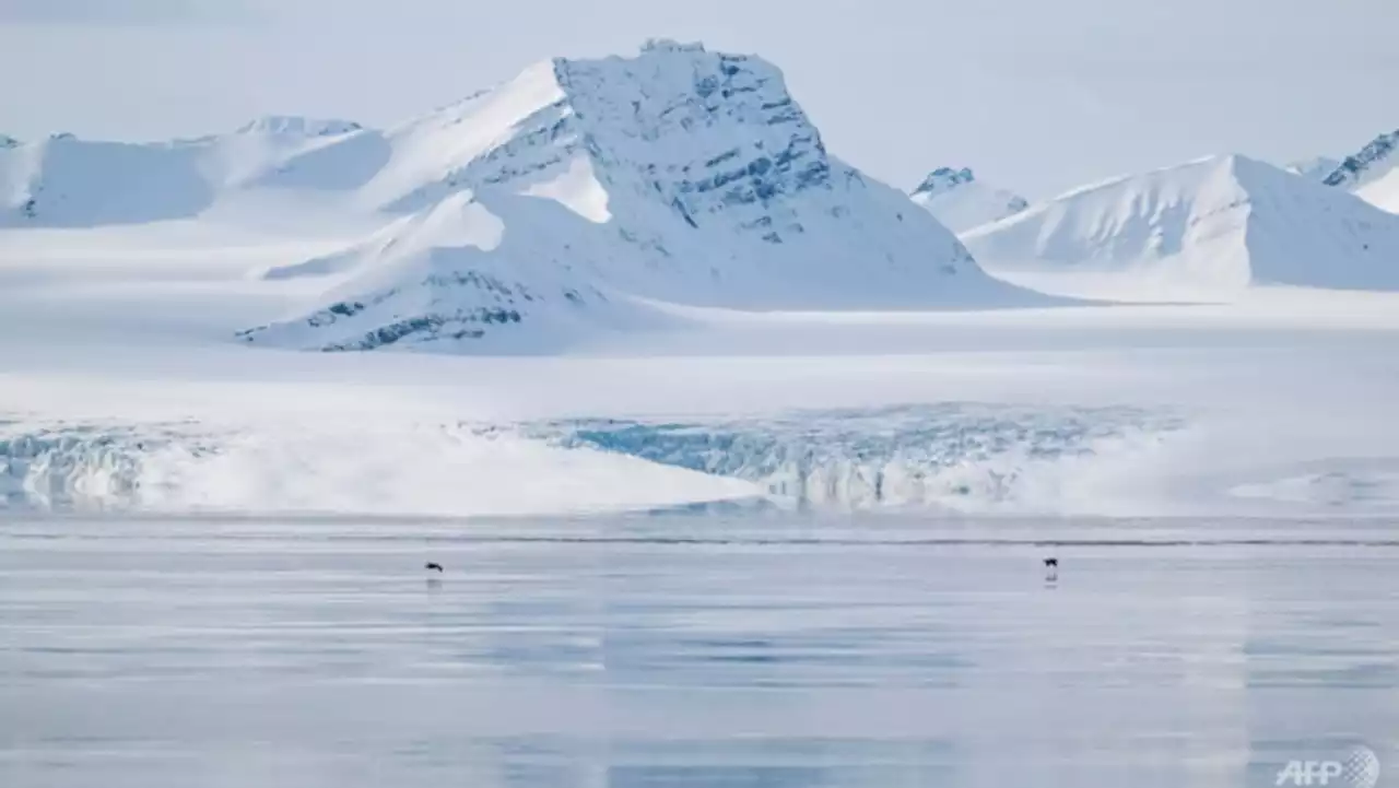 Scientists save ancient Arctic ice in race to preserve climate history