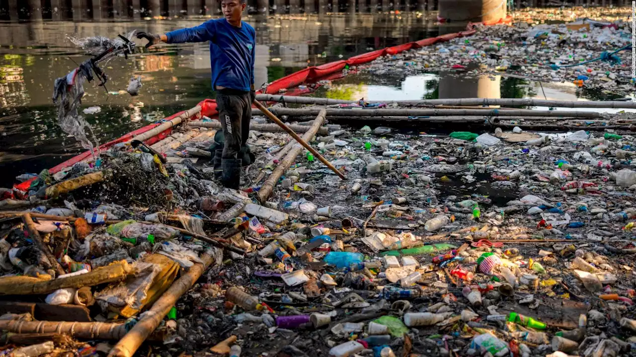 Lanzan México Resiliente para crear conciencia sobre el cambio climático| Video