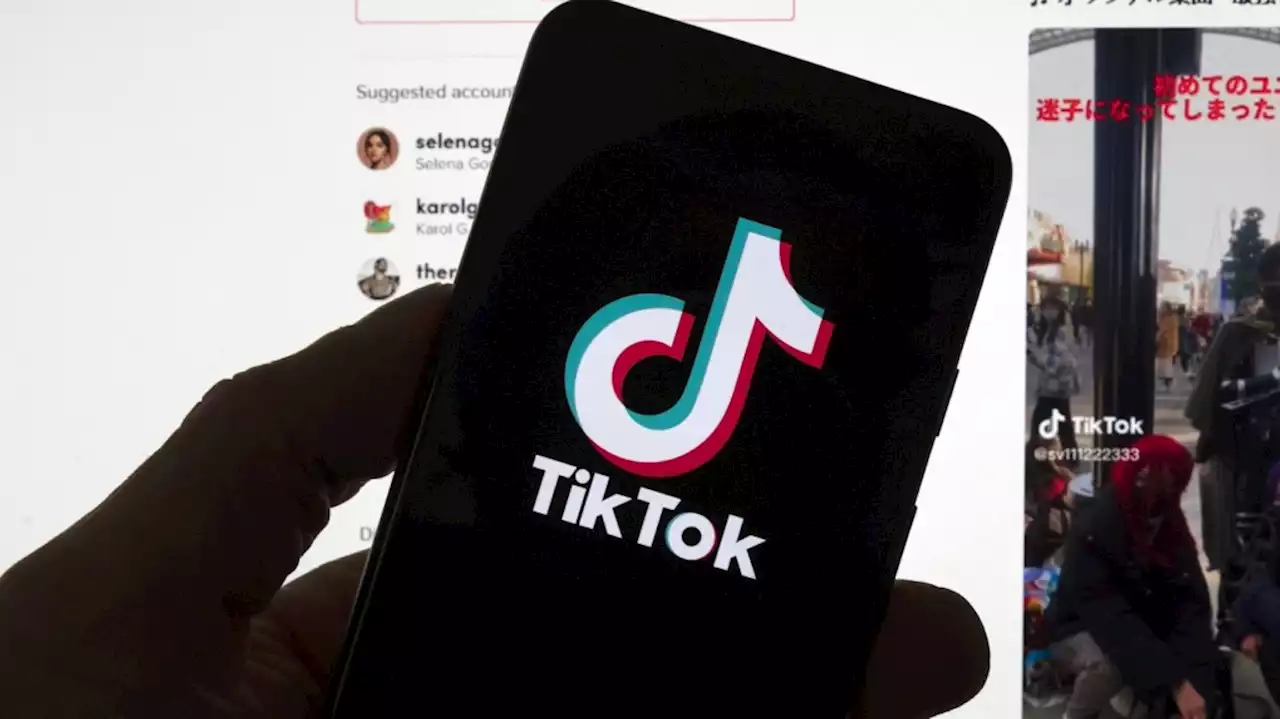 'A dopamine slot machine': Study explores how TikTok can impact mental health