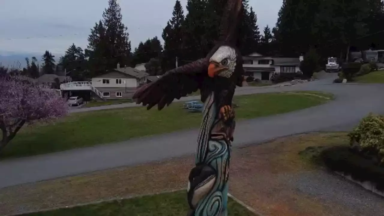 Nanaimo chainsaw artist creates incredible sculpture out of old tree