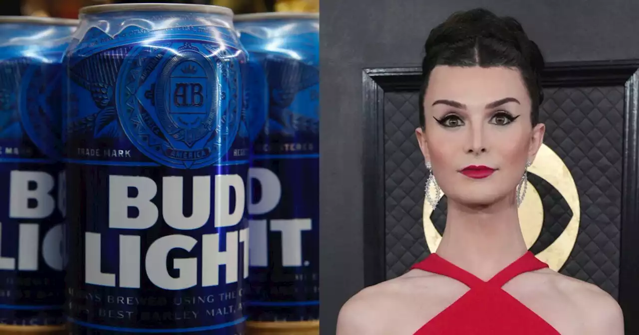 Bud Light's marketing vice president takes a leave of absence following Dylan Mulvaney controversy