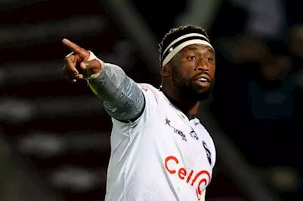 Settled Sharks selected for Kolisi, Du Toit swansong