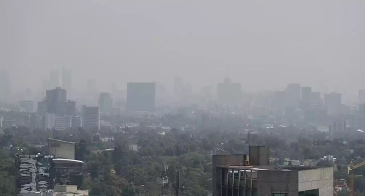 Día de la Tierra: ¿Qué productos de uso cotidiano contaminan el medio ambiente?