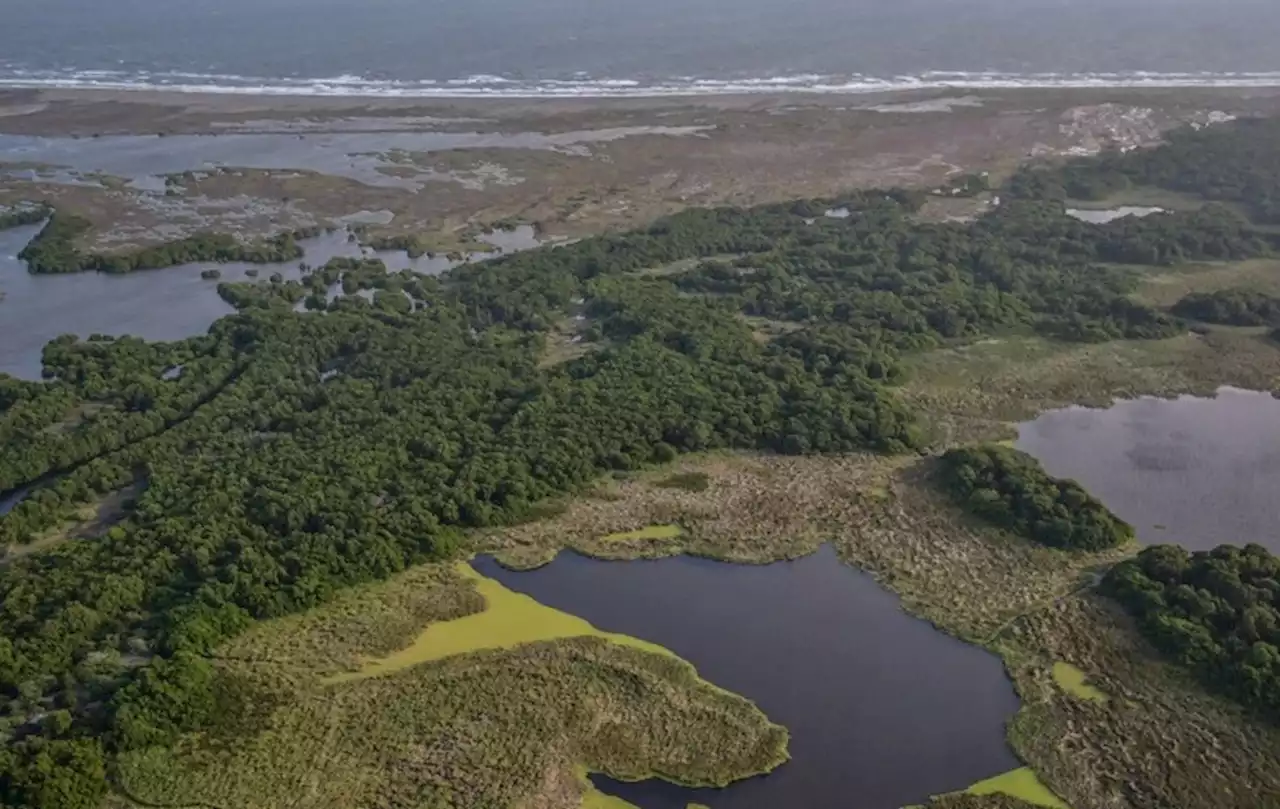 La Tierra, un hogar que los humanos necesitan salvar