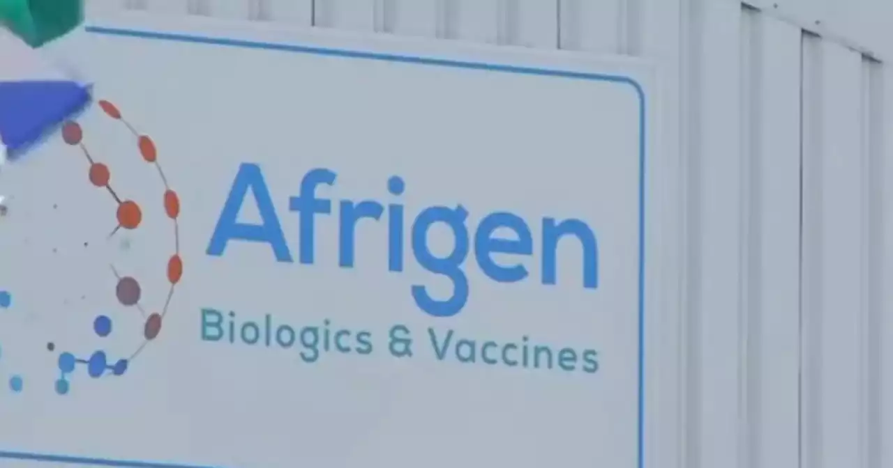 WATCH | Afrigen Technology Transfer Hub launched in CT