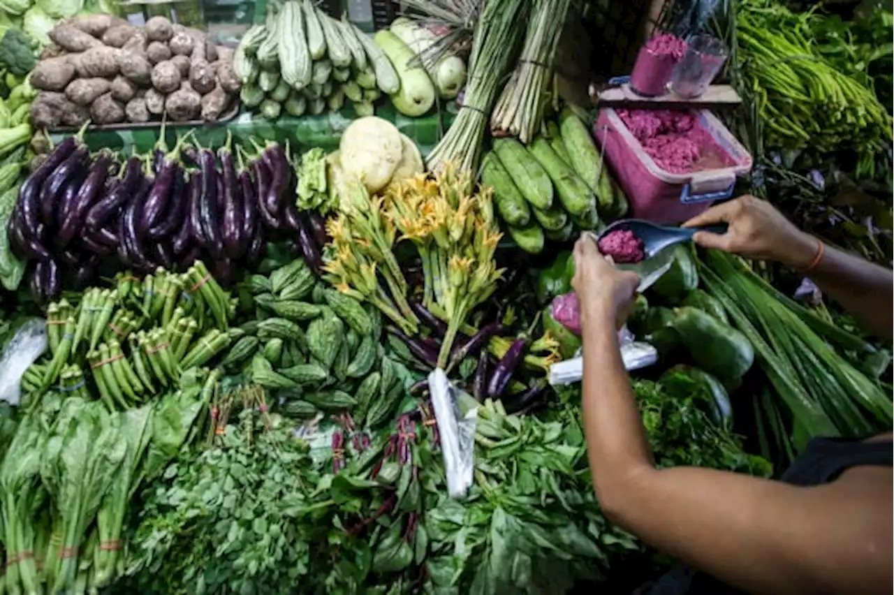 Jica, DA roll out value chain project to grow PH vegetable sector