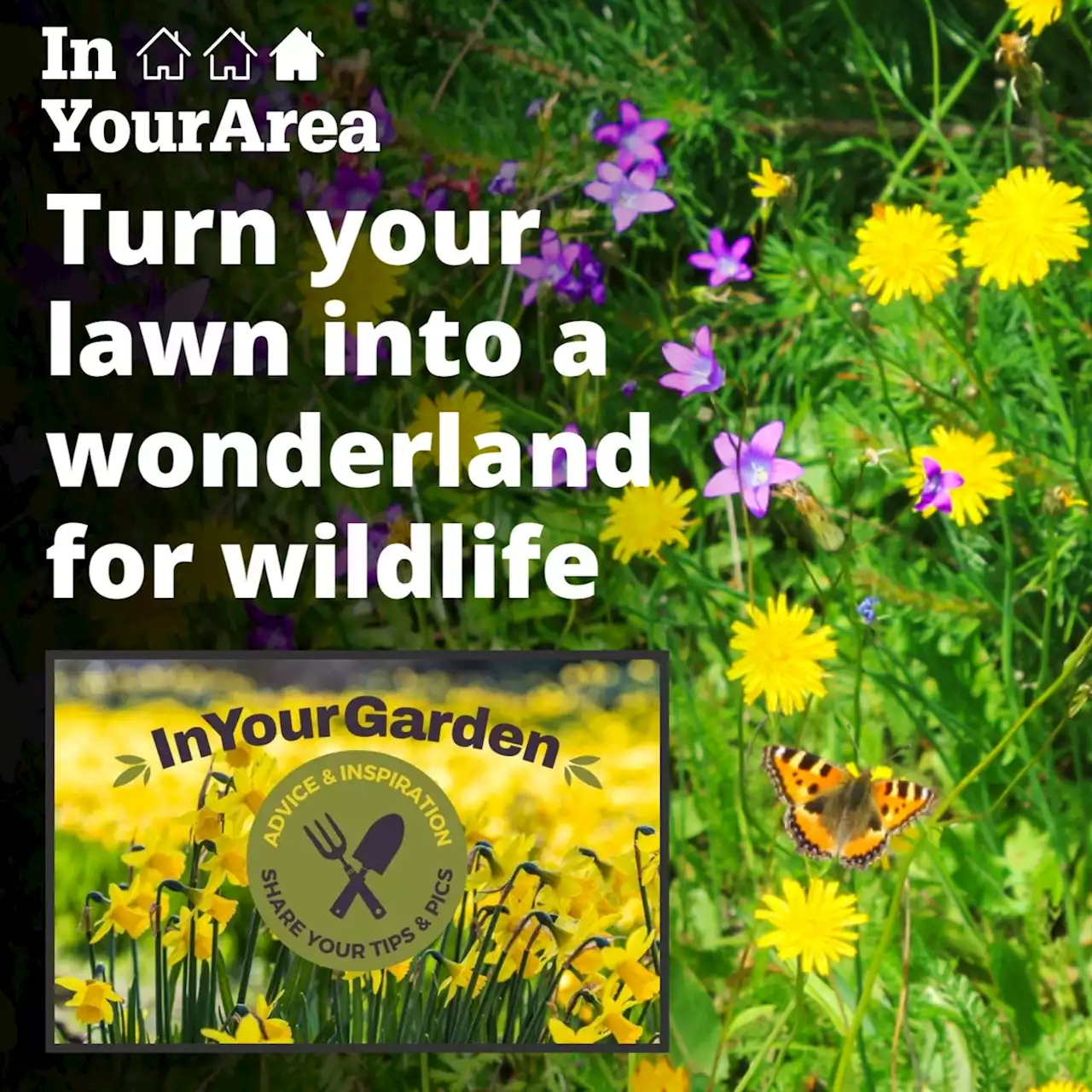 InYourGarden: Turn your lawn into a wonderland for wildlife