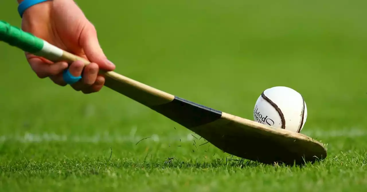 Leinster Under-20 hurling round-up: Offaly and Westmeath through to quarter-finals