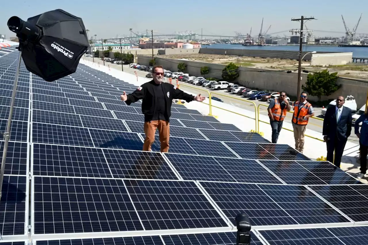 Former Gov. Schwarzenegger flips on AltaSea’s giant rooftop solar panels