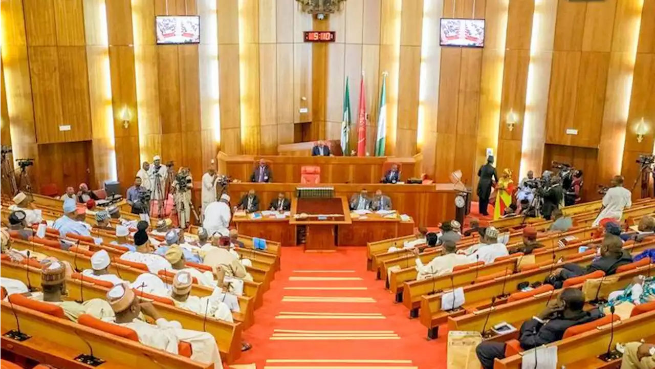 10th NASS: CSO Makes Case For North-West Senate Presidency