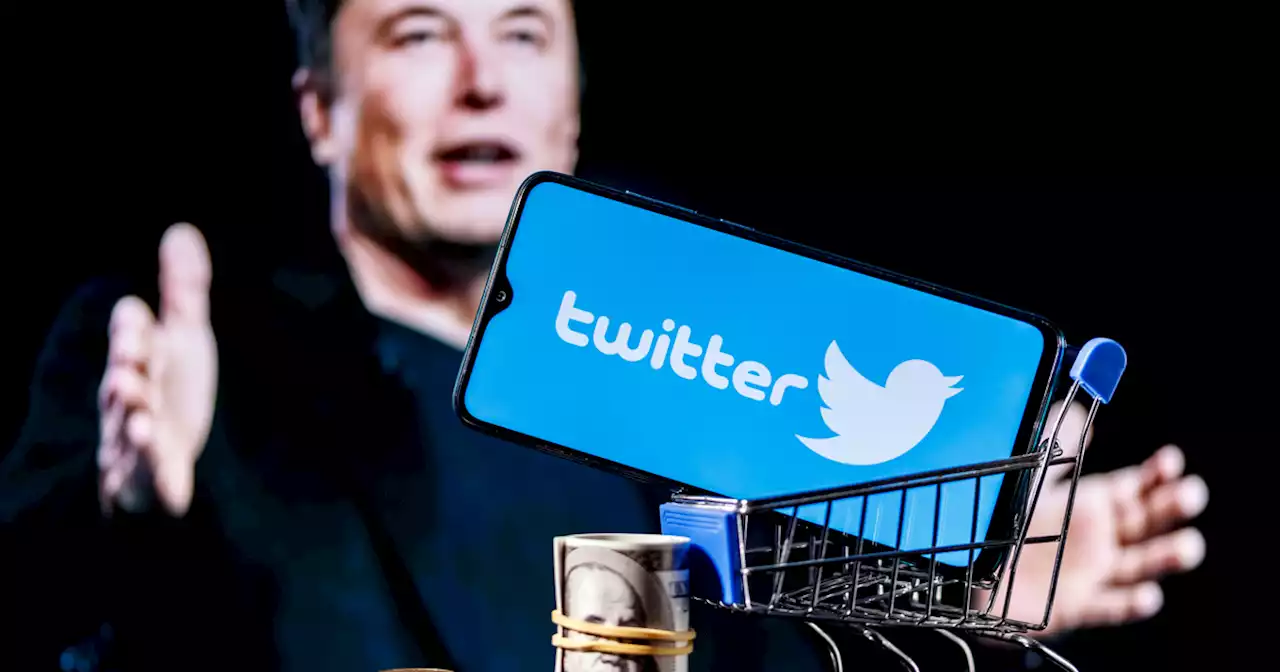 Twitter : Elon Musk offre le badge bleu à LeBron James et Stephen King, qui ne veulent pas payer