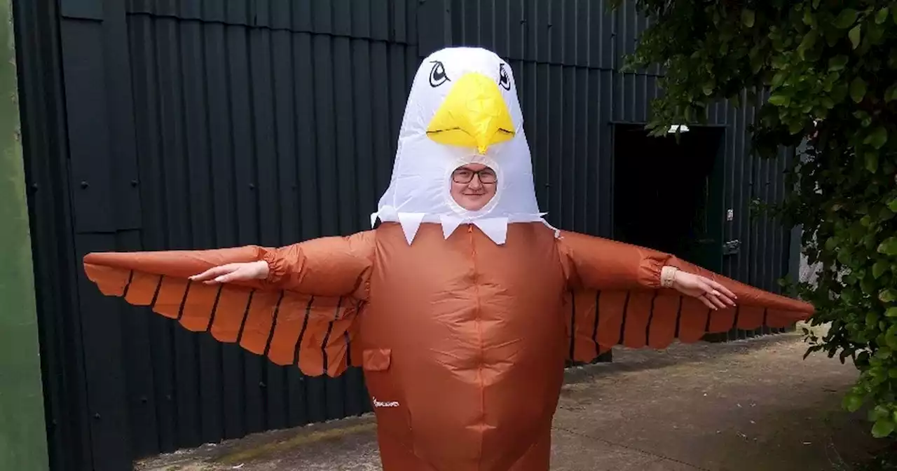 Blackpool Zoo is paying people to dress up as 'seagull deterrents'