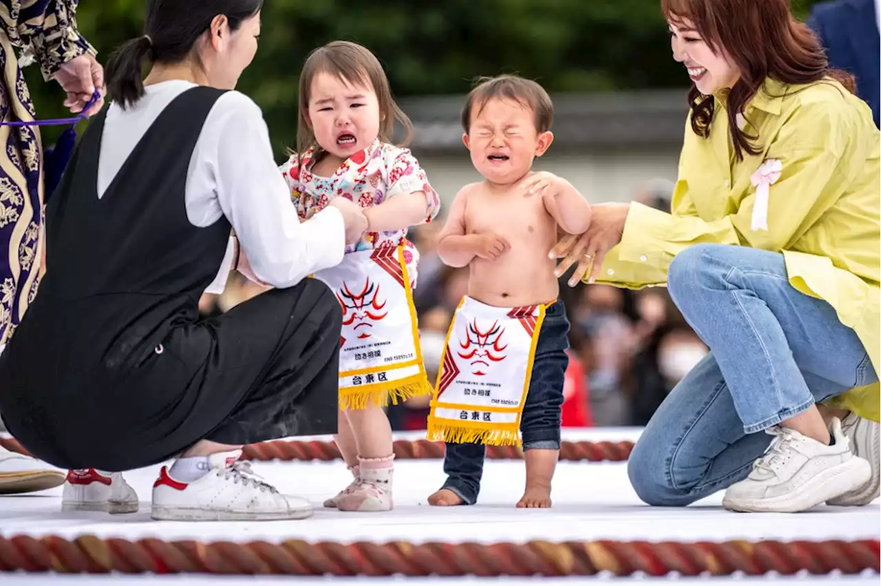 Japan's 'crying baby sumo' festival returns after pandemic