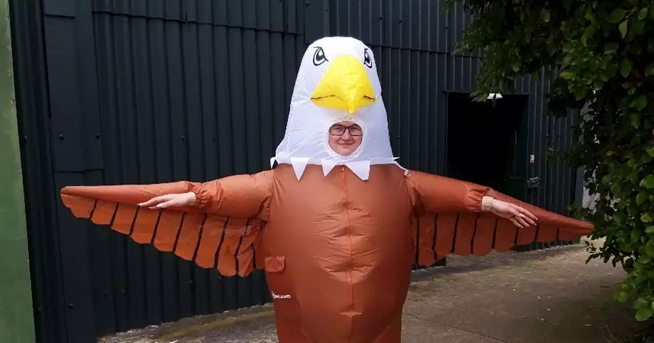 Blackpool Zoo is looking to pay people to dress up as 'seagull deterrents'