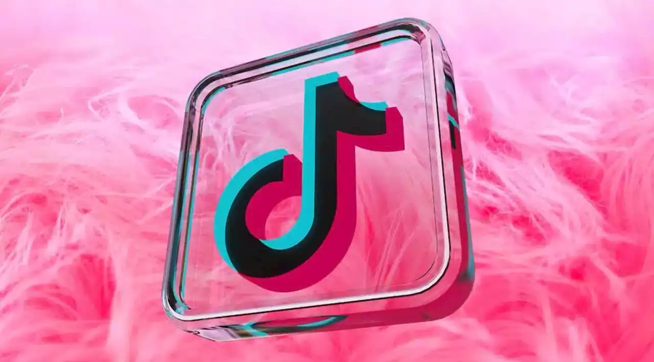 Descubre por qué tus videos de TikTok no tienen visualizaciones