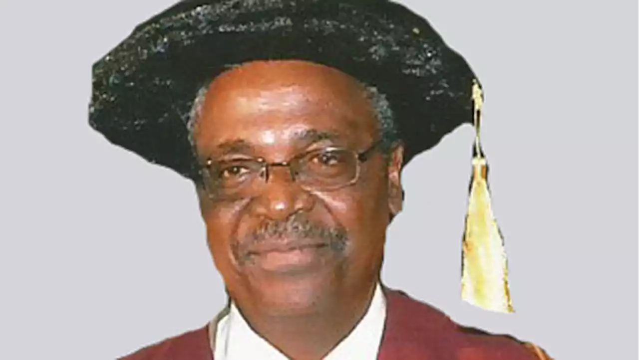 Govt funding of varsities not sustainable – Ex-UI VC