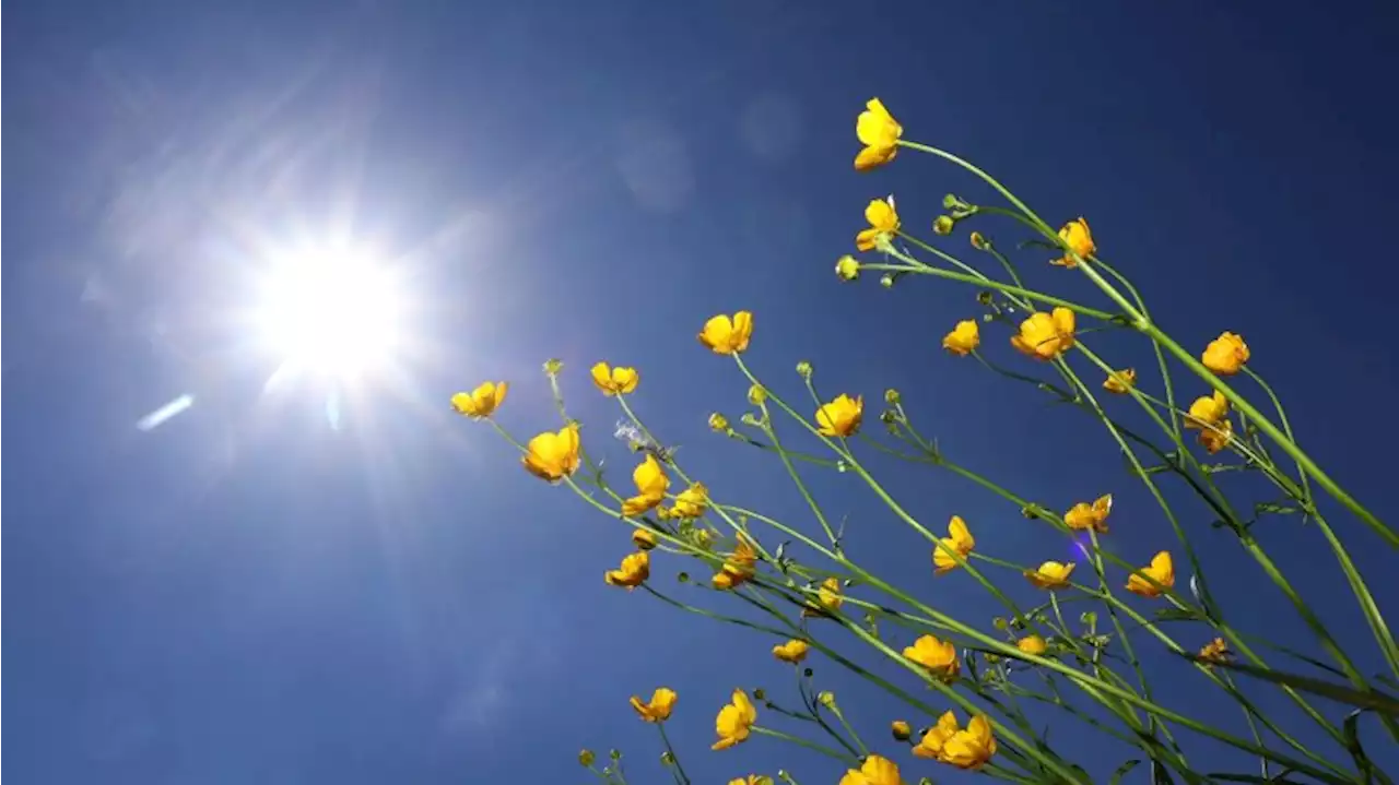 Der Frühling kommt nach Berlin und Brandenburg