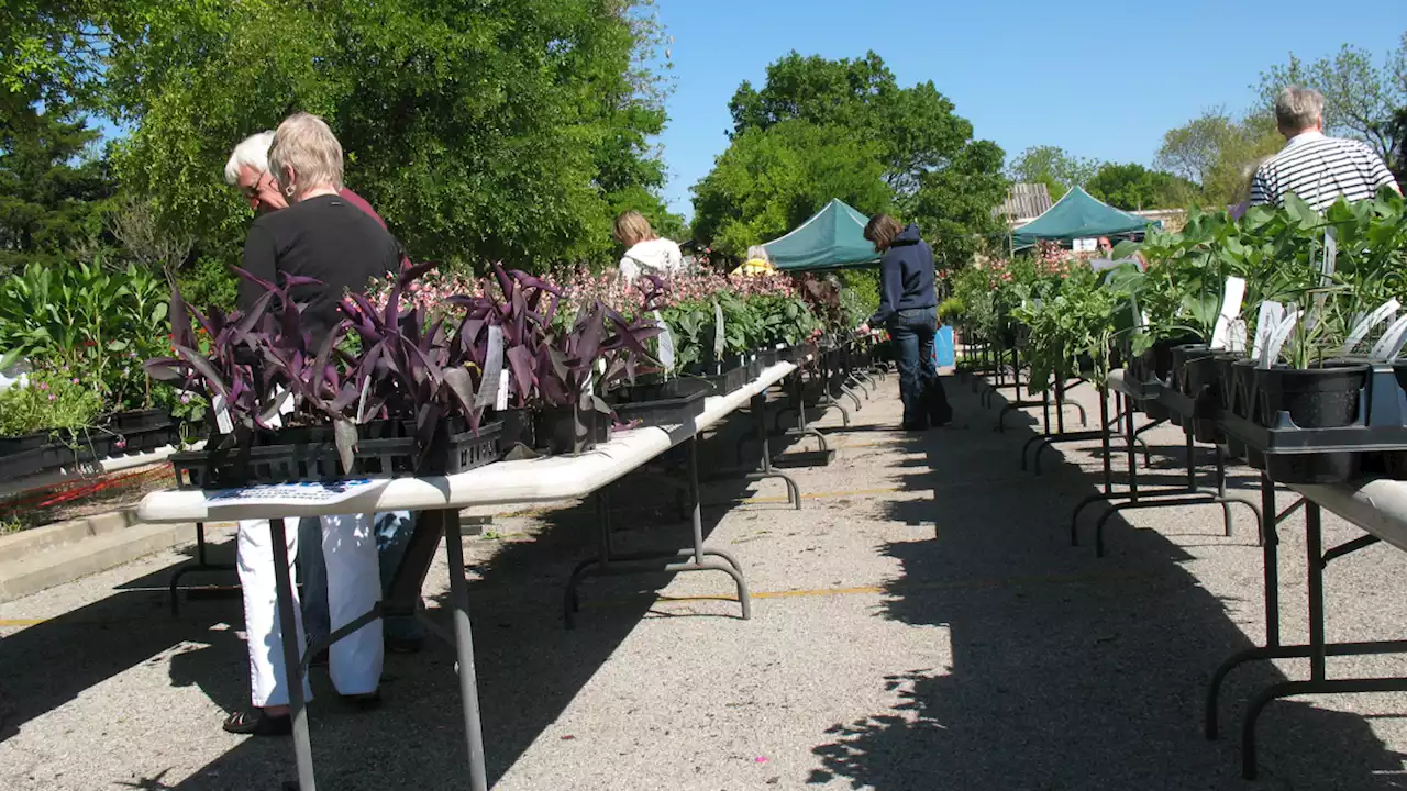 The Heard Spring Native Plant Sale April 22 & 23