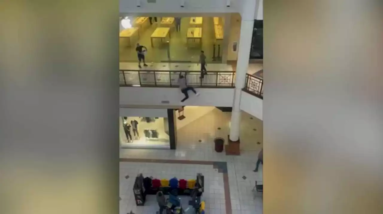 VIDEO: Theft Suspect Jumps From 2nd Level at Willow Grove Mall