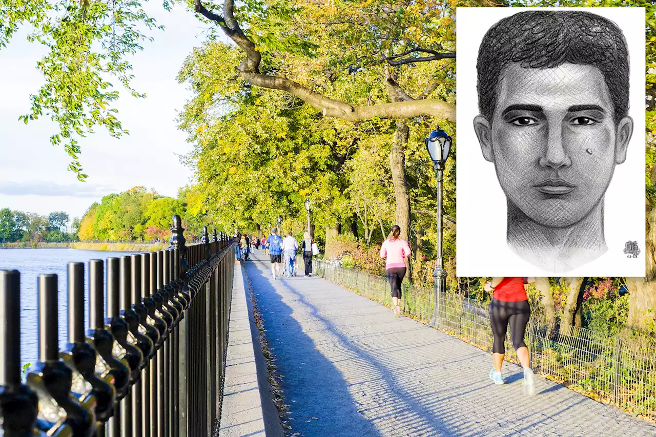 Crazed man arrested for attack on walker in Central Park: NYPD