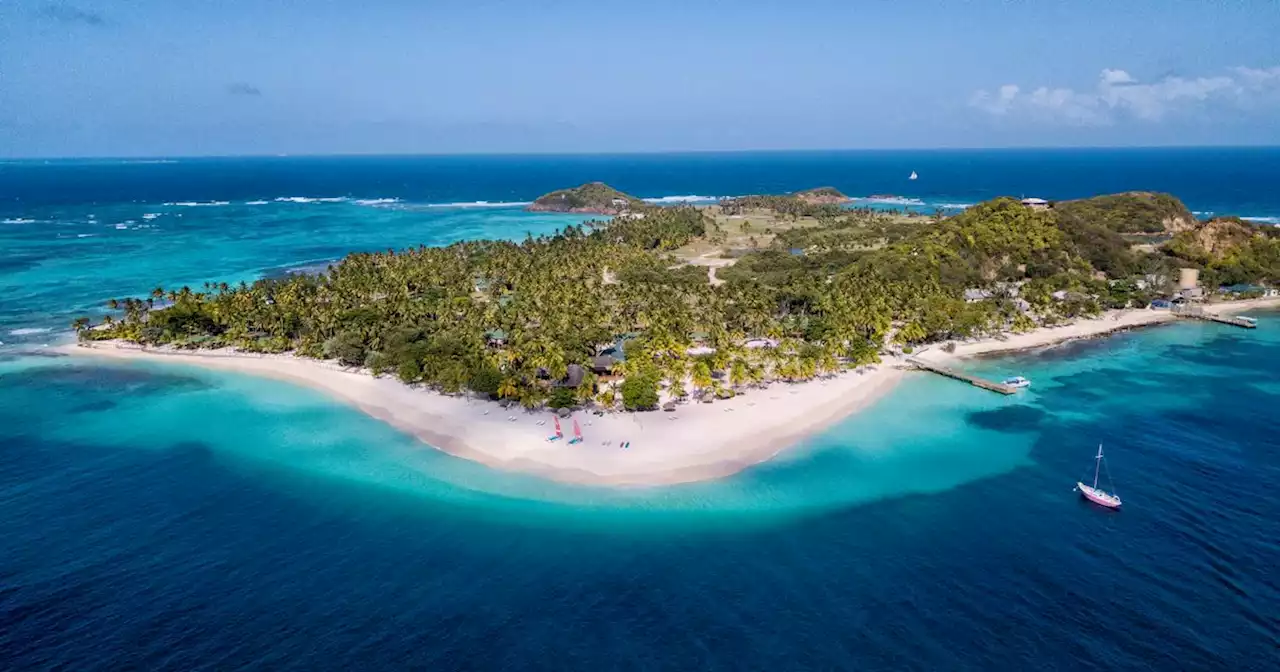 ‘I visited Palm Island for the views but ended up swimming with giant turtles’