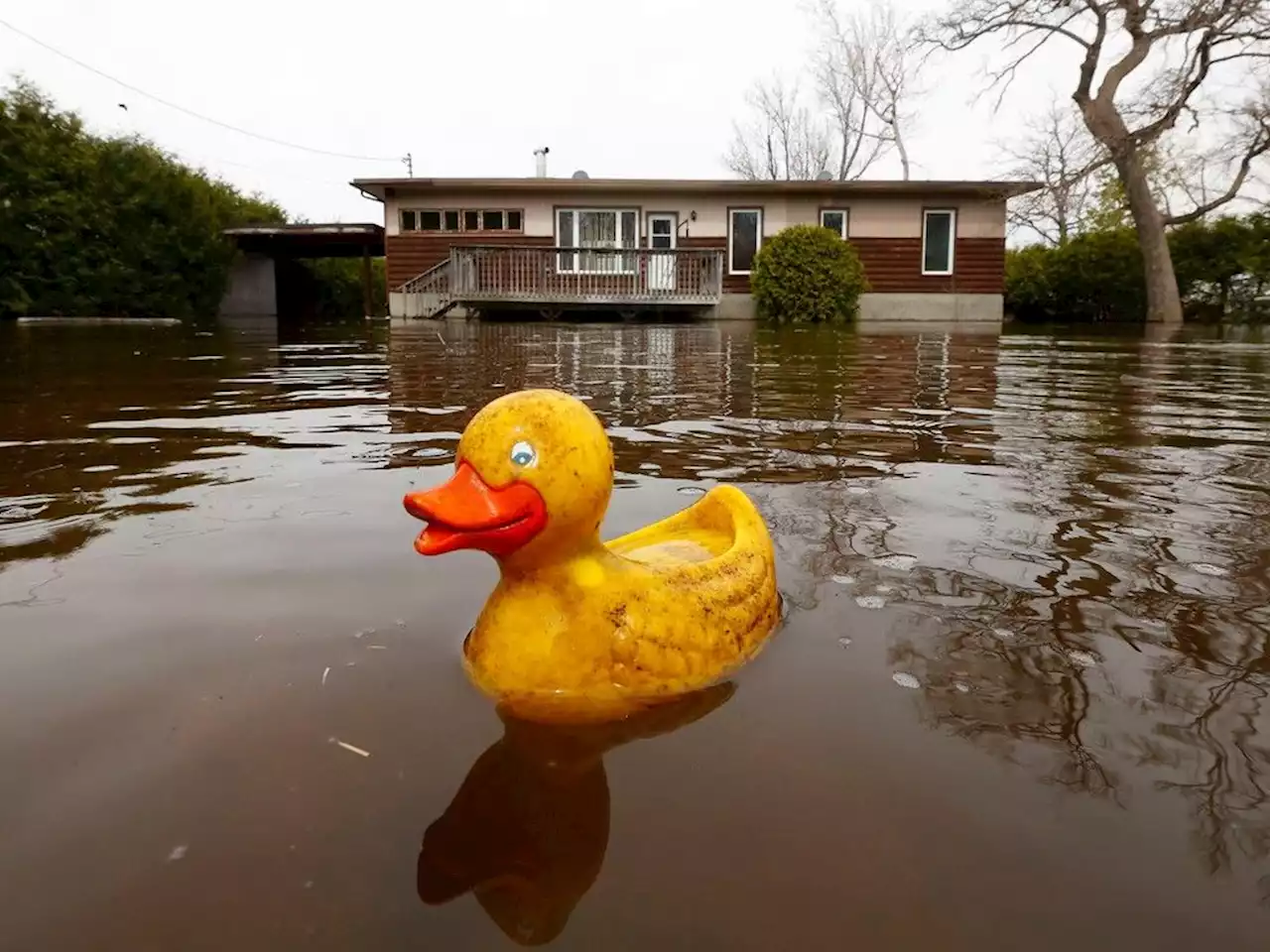 Ottawa River expected to 'stabilize' this weekend, but homeowners fear rain