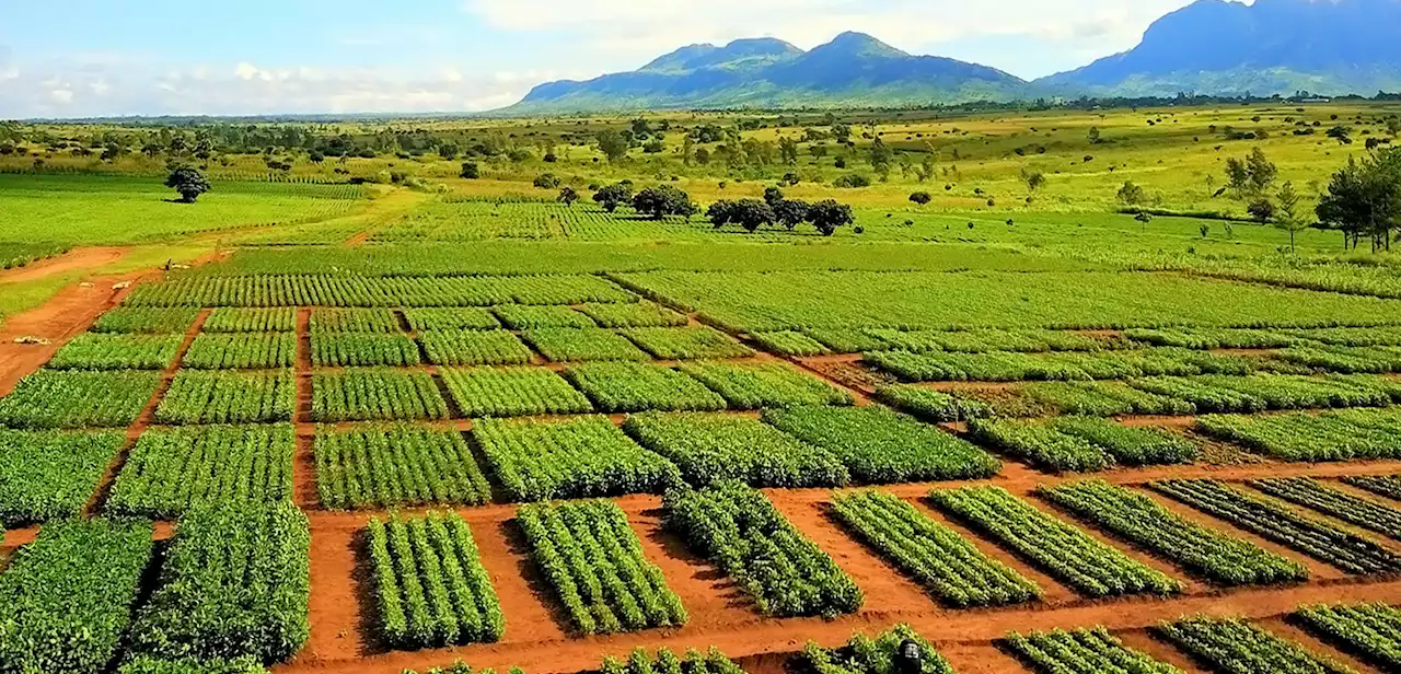 AU Agency urges farmers to embrace climate smart agriculture practices