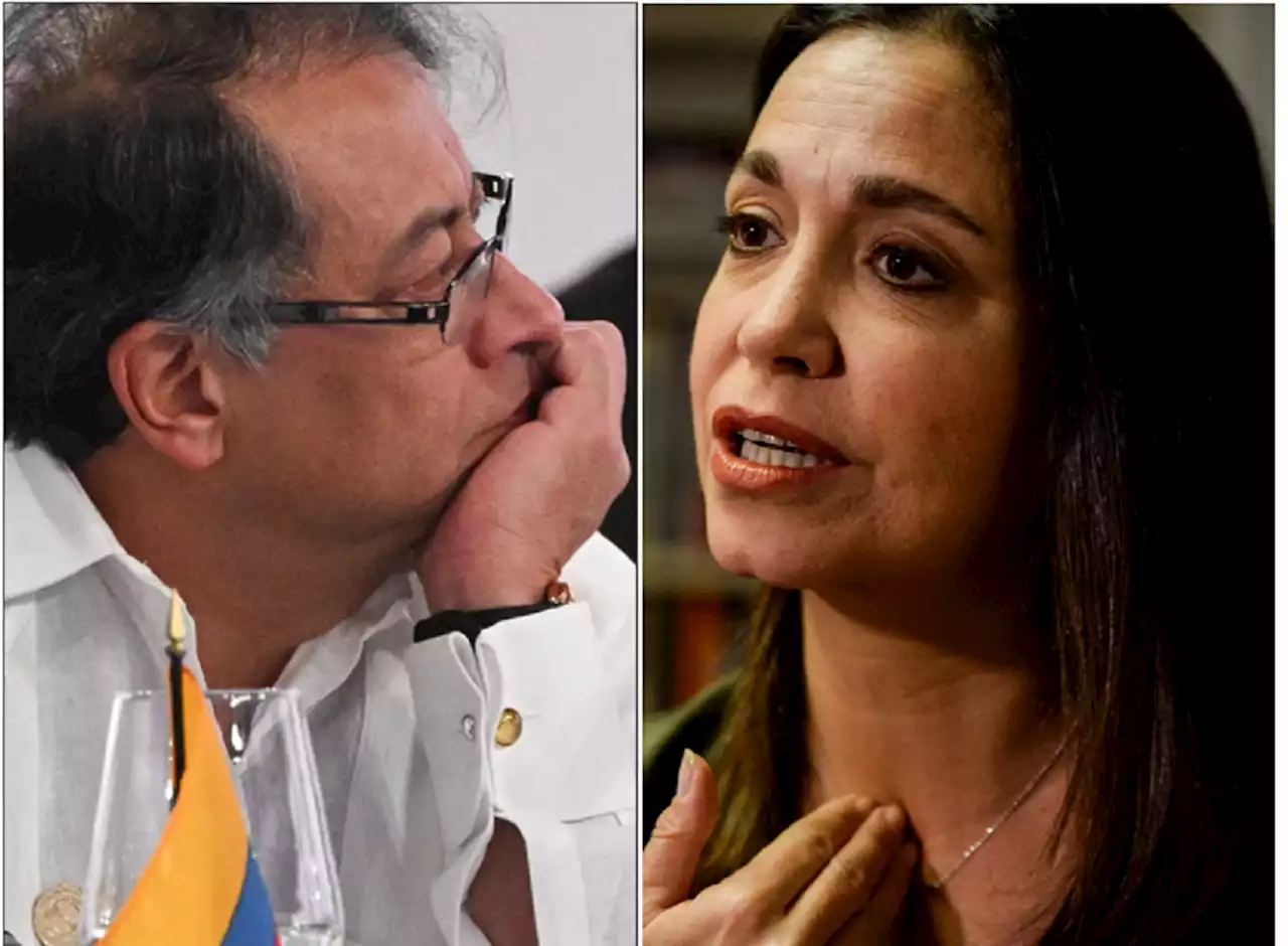 Gustavo Petro se reúne este sábado con la oposición venezolana, pero no con toda - Pulzo