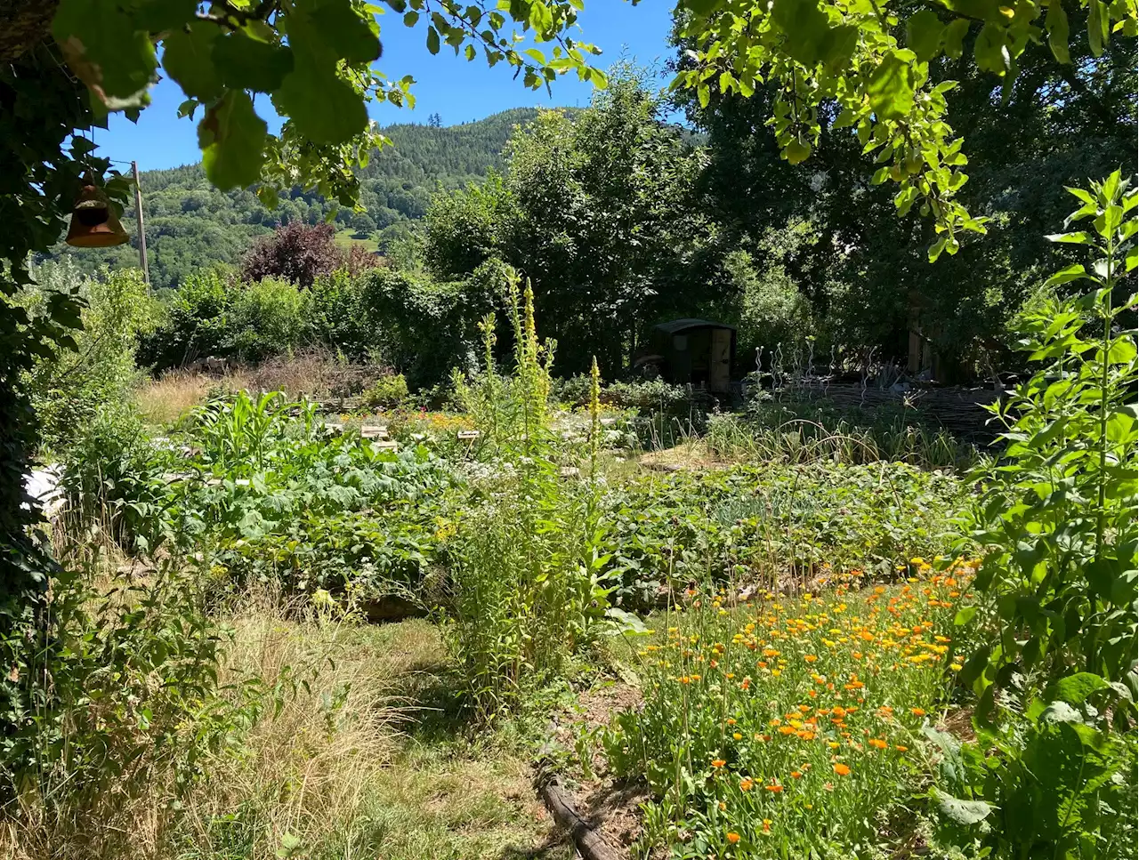 Jardinage : quel est l’emplacement idéal pour votre potager ?