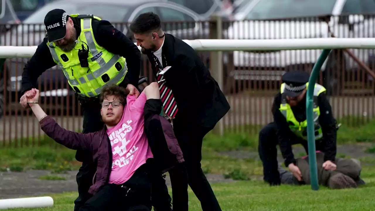 Scottish Grand National protests: Animal Rising demonstrators arrested after disruption at Ayr racecourse