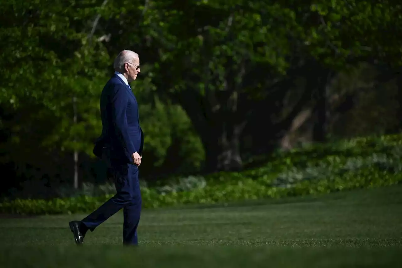 États-Unis : la candidature de Biden, un secret de Polichinelle