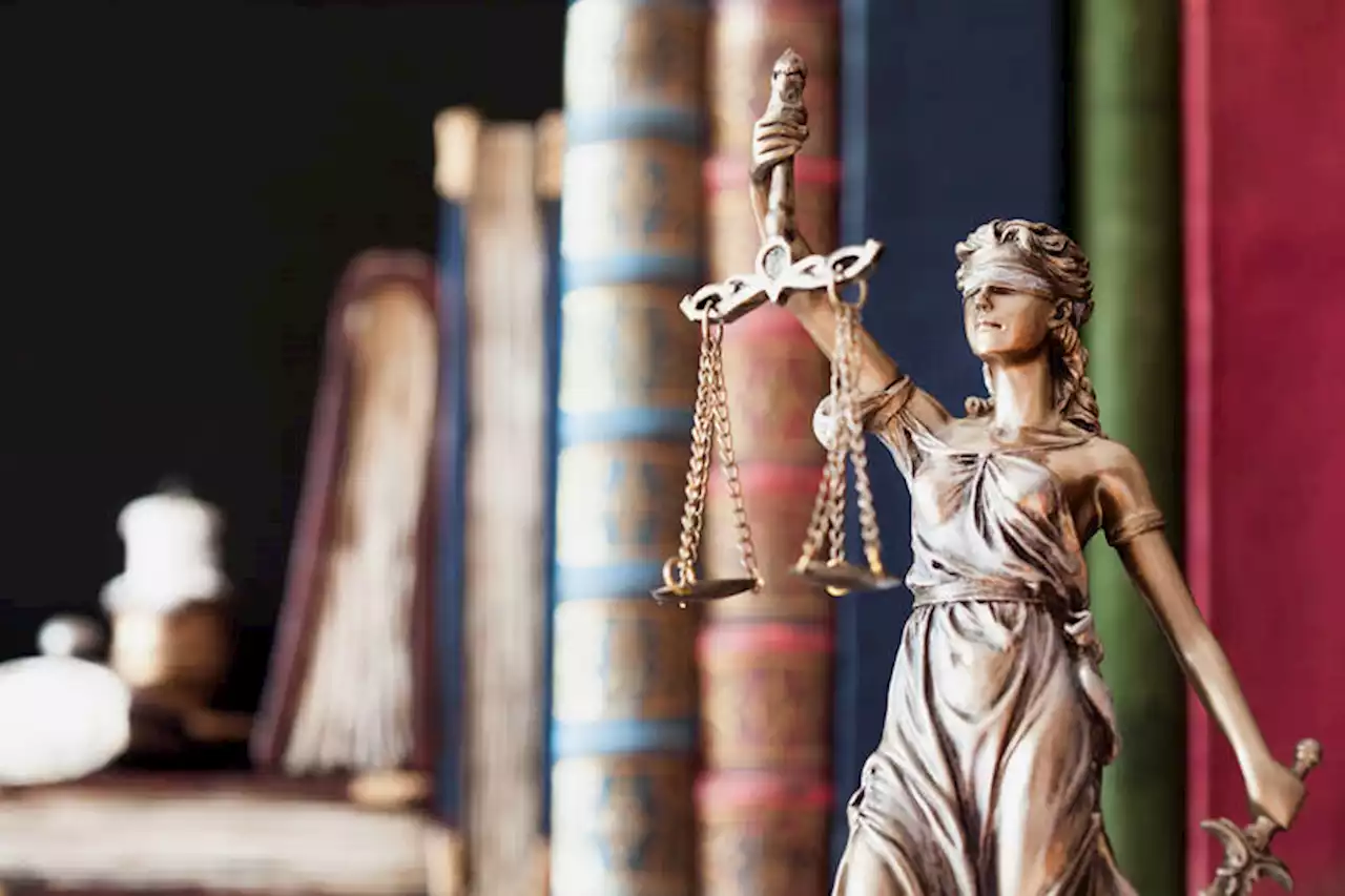 B.C. judge strikes man’s arguments as ‘stupid’ in contempt case - Terrace Standard
